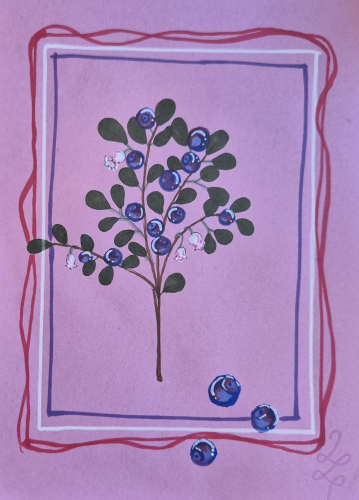 blåbär
